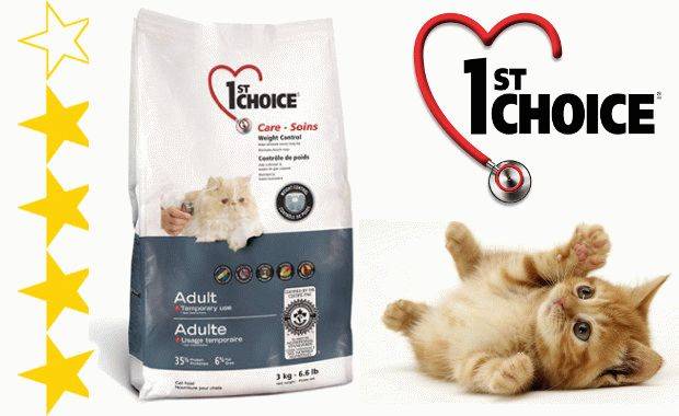 Корм для кошек 1st choice от канадского производителя- качественный и недорогой : подробный разбор состава и отзывы  владельцев животных +видео