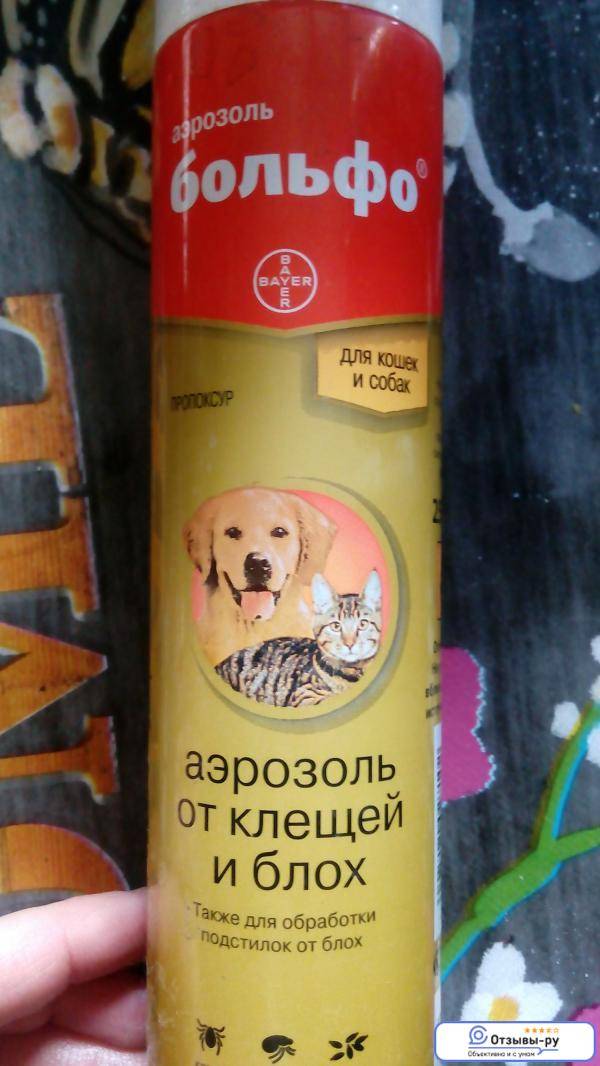 Больфо (аэрозоль) для собак и кошек | отзывы о применении препаратов для животных от ветеринаров и заводчиков