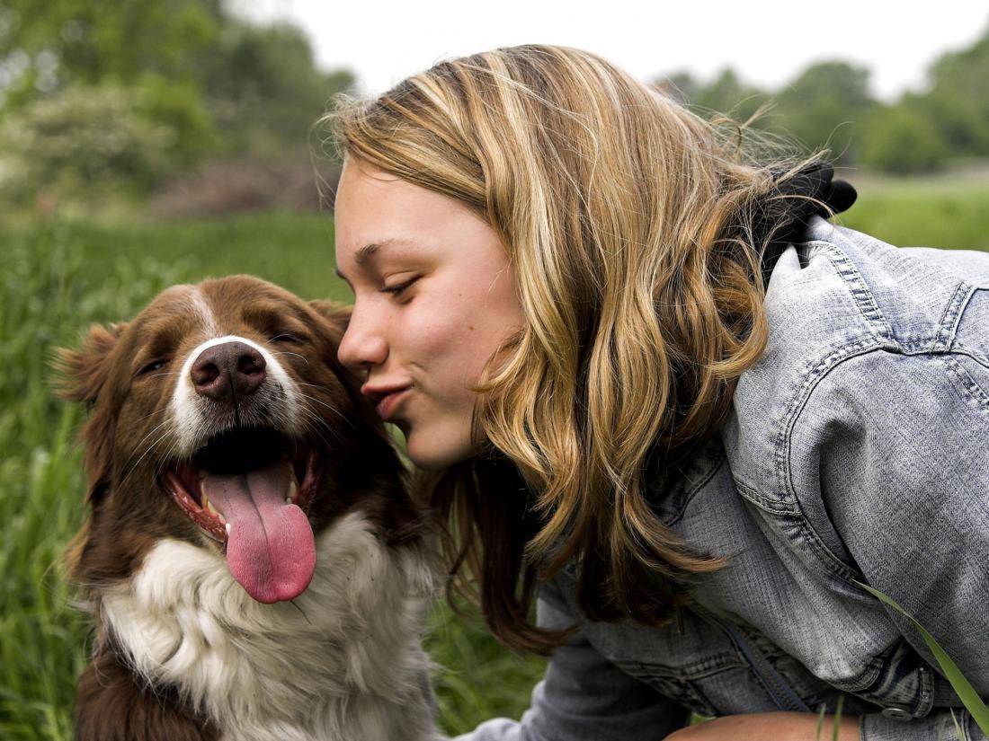 Собаки умеют улыбаться, но почему они это делают: результаты исследования