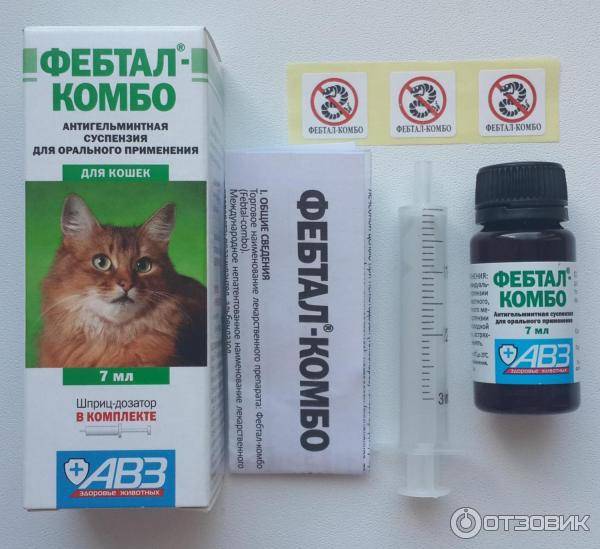 Дана ультра для кошек и котят более 4 кг - купить, цена и аналоги, инструкция по применению, отзывы в интернет ветаптеке добропесик