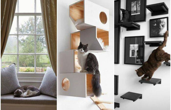 Советы по ремонту квартиры с котом