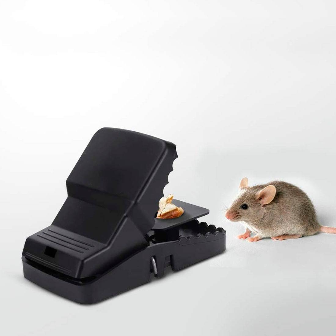 Как сделать ловушку для крыс: 110 фото лучших самодельных крысоловок