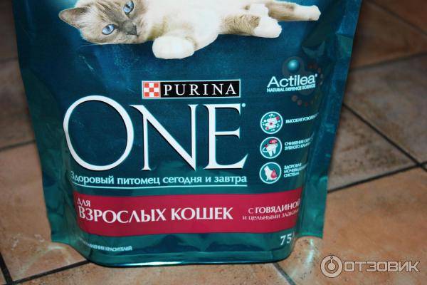 Корм пурина ван для кошек: состав, виды, описание