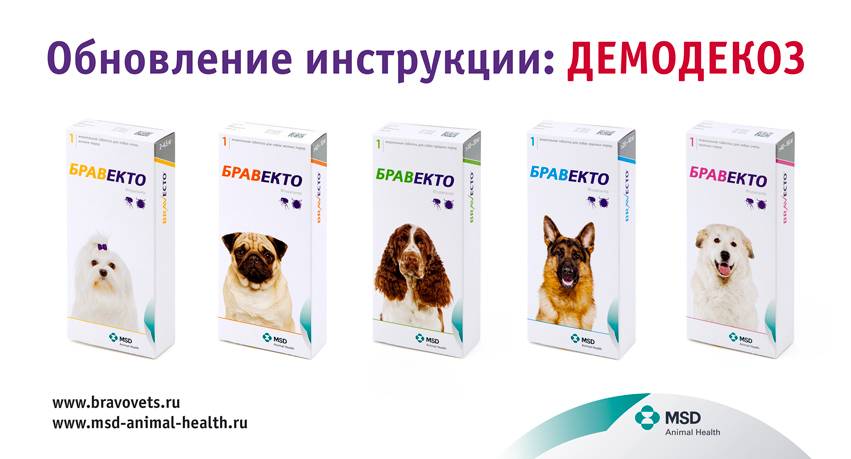 Бравекто (bravecto): таблетка от блох и клещей у собак, все про лекарство от клещей