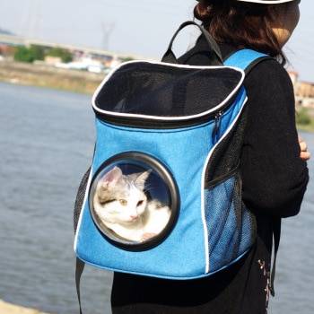 Переноска для кошек (51 фото): как сделать сумку-переноску для котят своими руками? как выбрать большую переноску? какие должны быть размеры клеток на колесах?