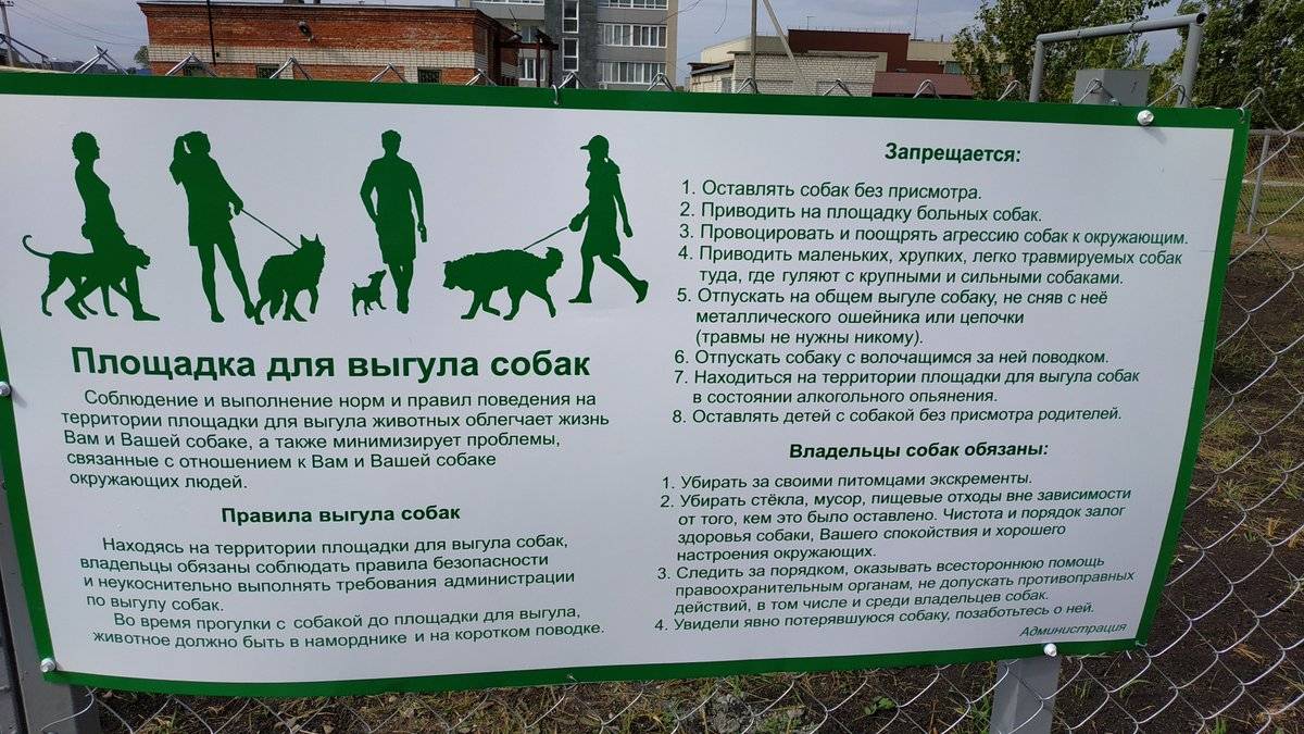 Где можно выгуливать собаку, если нет специальной площадки: по закону, новые правила выгуливания собак