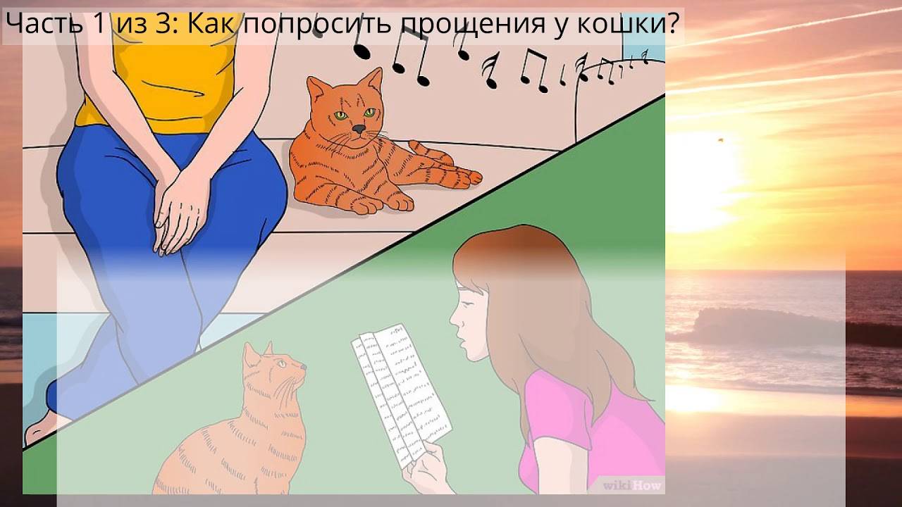 Как помириться с кошкой