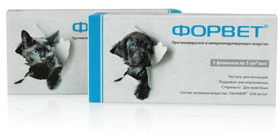 «форвет» для собак и кошек: инструкция по применению