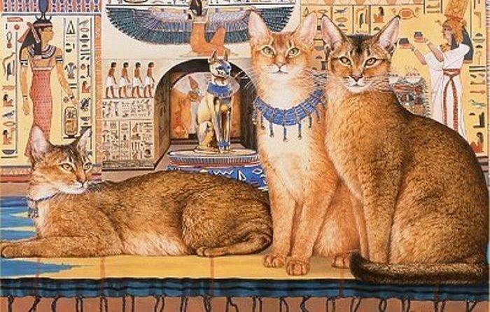 Как кошки появились на руси? какое место они заняли в нашей жизни и культуре? — 4 лапки