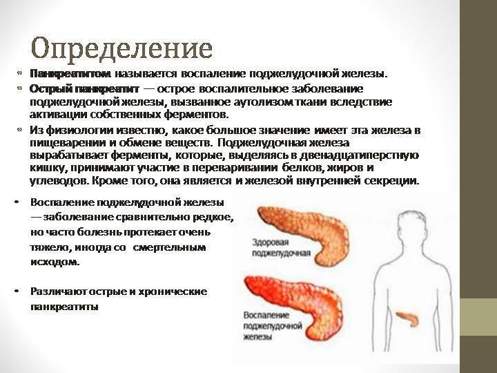 Панкреатит у кошек - симптомы, питание при панкреатите,  лечение  в москве. ветернинарная клиника "зоостатус"
