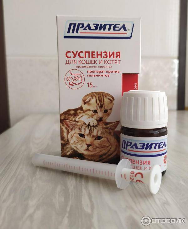 Празител для кошек: котят, инструкция по применению, суспензия, таблетки, дозировка