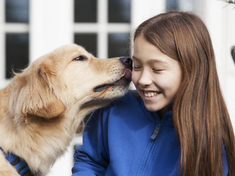 Улыбающаяся собака – могут ли собаки улыбаться?