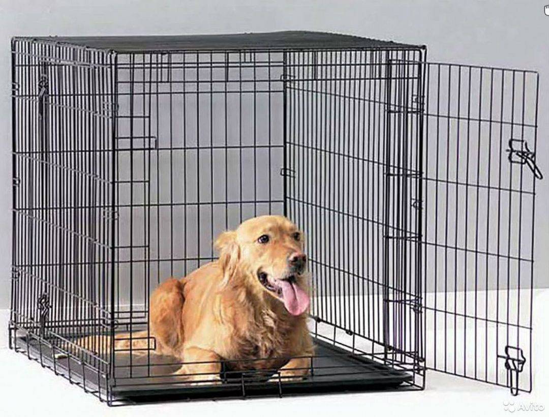 Клетки для собак: назначение, тонкости выбора, изготовления и установки