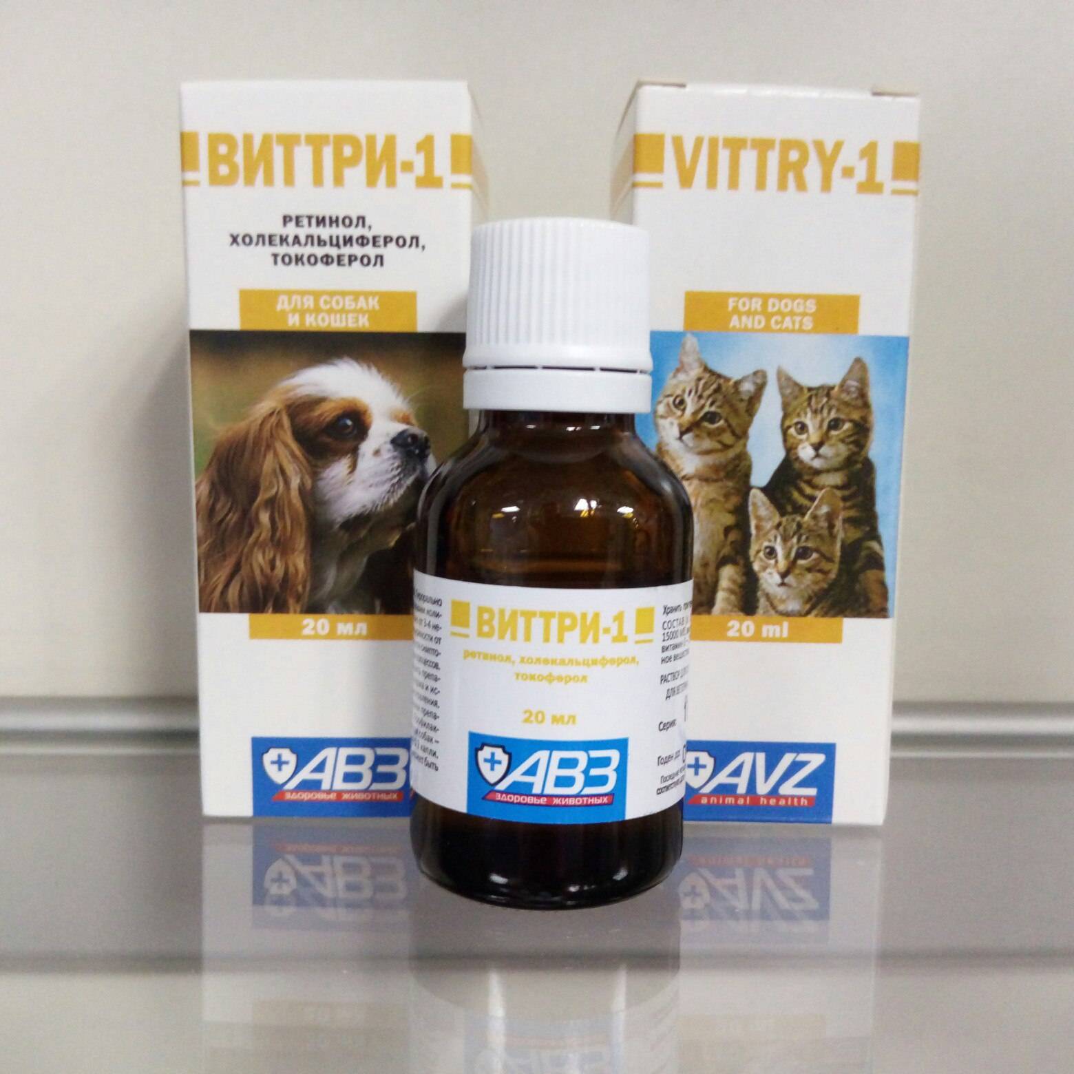 Виттри-1 для кошек: описание, инструкция по применению