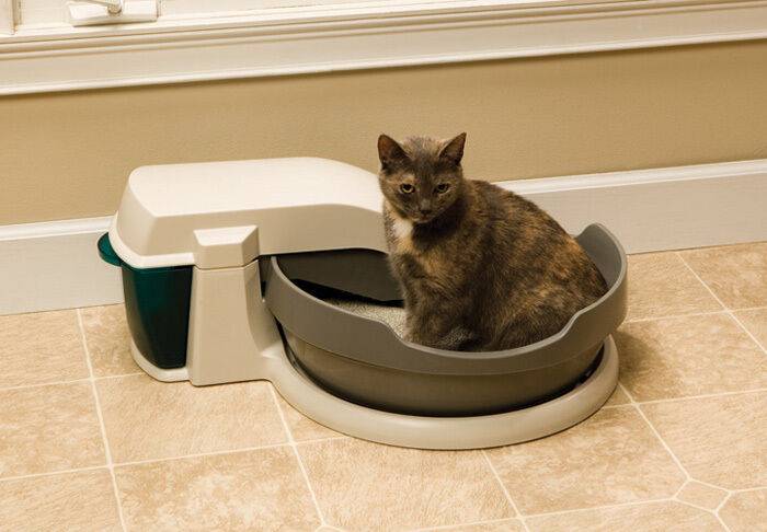 Автоматические туалеты для кошек: марки и характеристики самоубирающихся лотков-унитазов