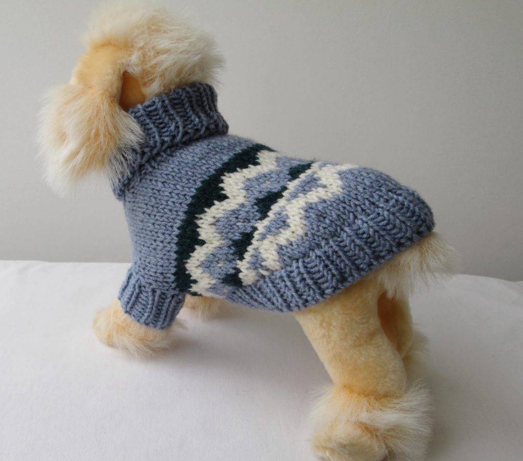 Схемы вязания свитера и комбинезона спицами для собак мелких пород