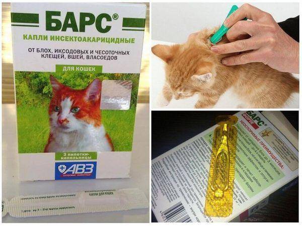 Ветеринарный препарат «адвокат» для кошек: дозировка, инструкция