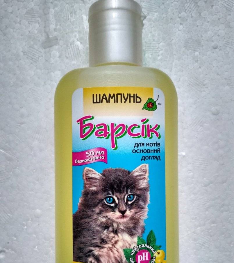 Шампунь для кошек: особенности выбора и использования, разновидности косметического продукта и отзывы владельцев животных