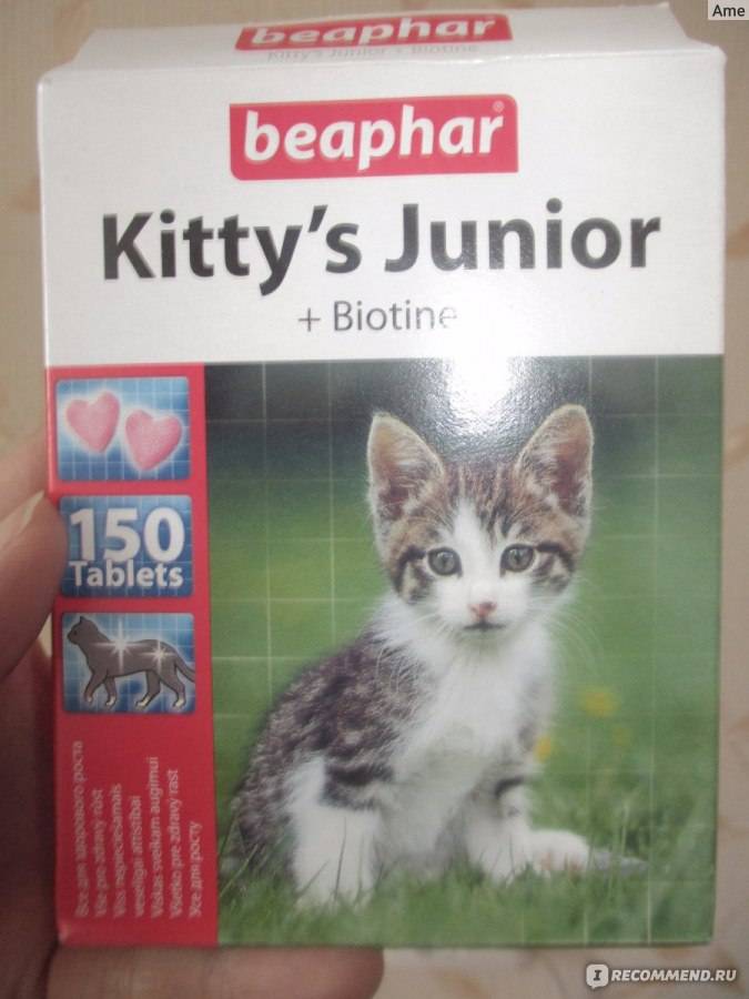 Беафар — витамины для кошек и котов