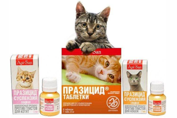 Празицид-комплекс для кошек более 4 кг - купить, цена и аналоги, инструкция по применению, отзывы в интернет ветаптеке добропесик