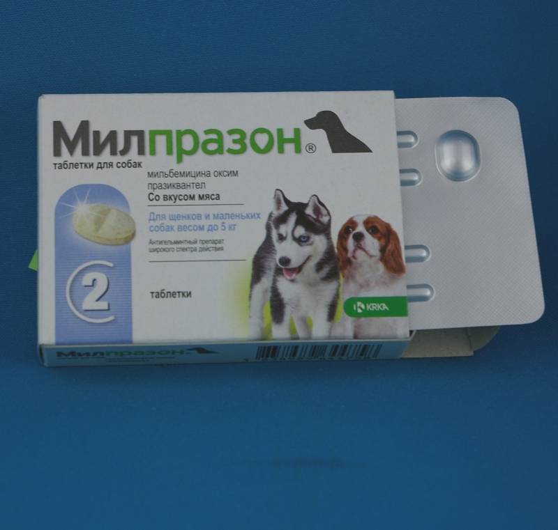 Глистогонное ( антигельминтное ) средство  для собак.