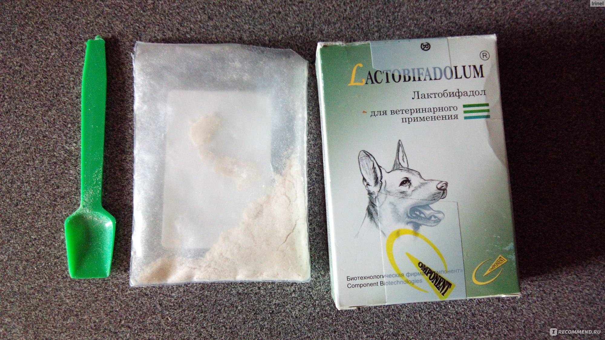 Пробиотик для кошек компонент лактобифадол форте 50 г