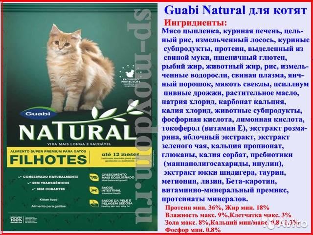 Подробная характеристика и состав кормов от компании «гуаби» для кошки и котенка