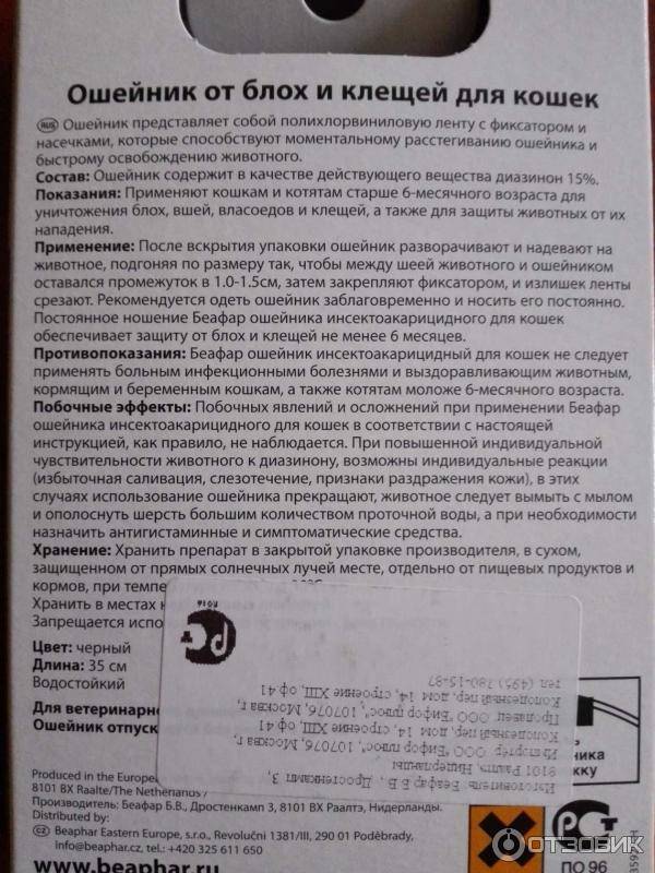 Ошейник для кошки от блох и клещей: советы, преимущества, виды