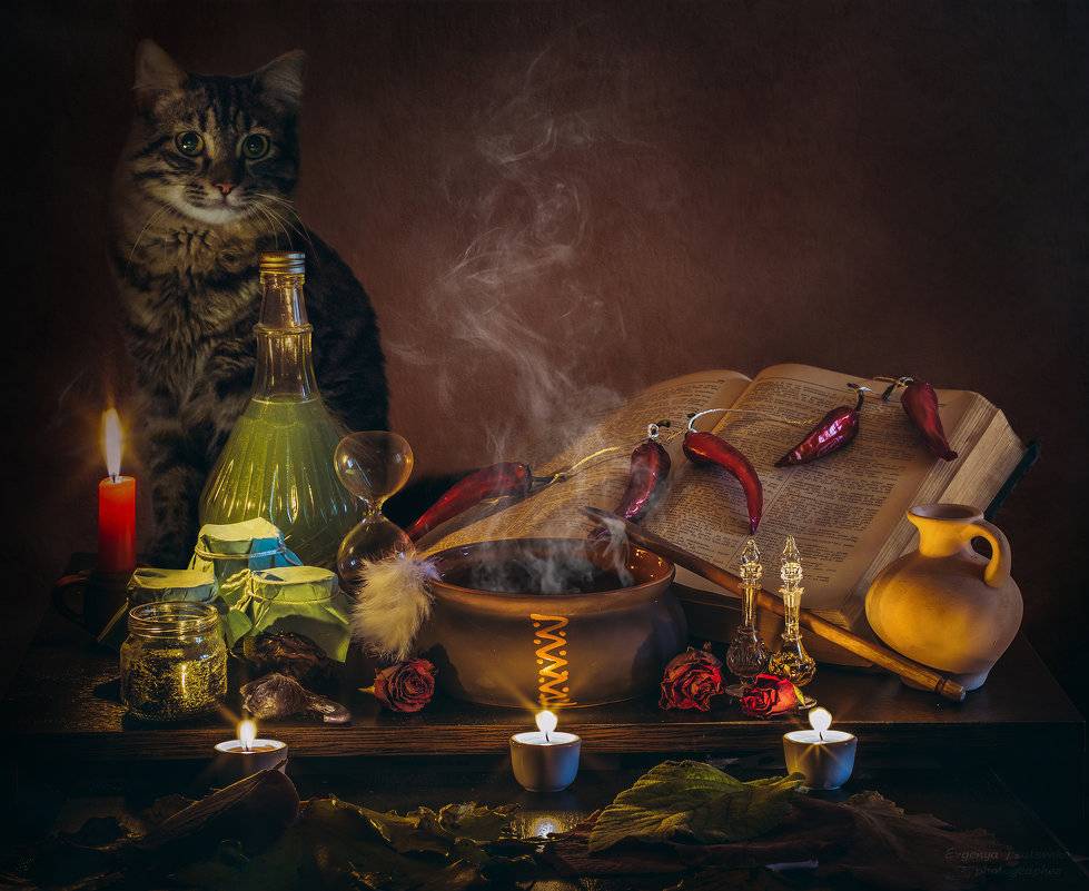 Зачем ведьме нужен кот, как он помогает в магии