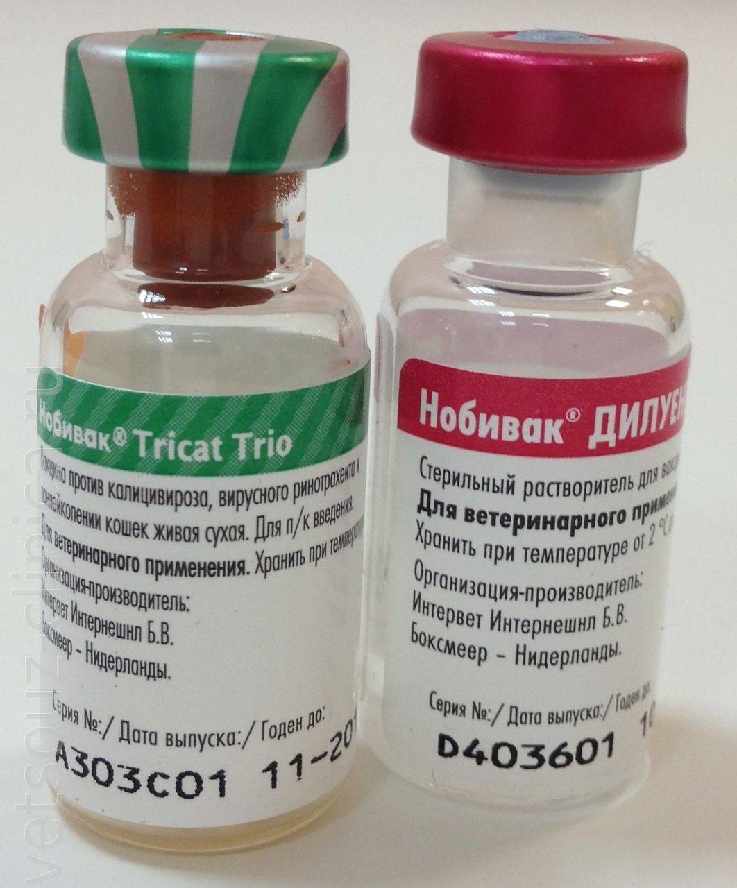 Нобивак tricat trio, комплексная вакцина для кошек