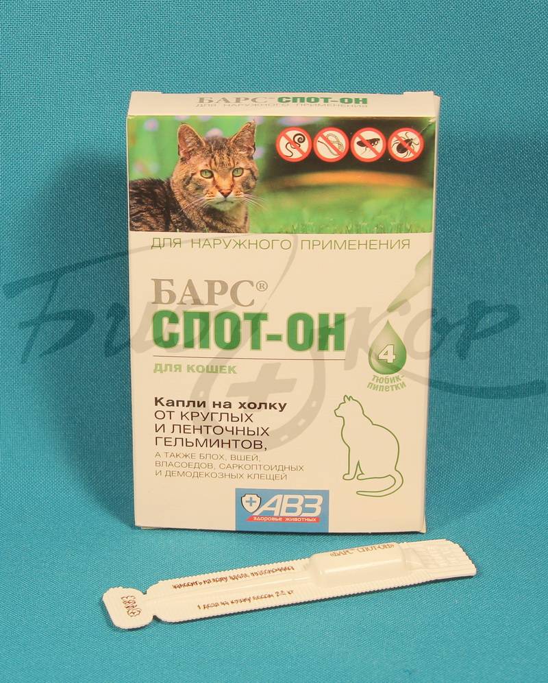 Применение капель от глистов и блох на холку для кошек, рекомендуемые лекарства. обсуждение на liveinternet