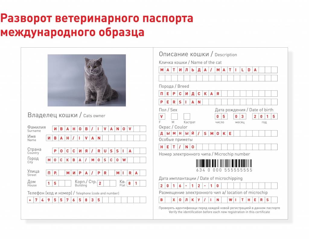 Ветеринарный паспорт для животных