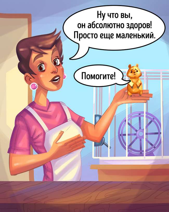 12 ошибок при покупке питомца, которые испортят жизнь обоим | gafki.ru | яндекс дзен