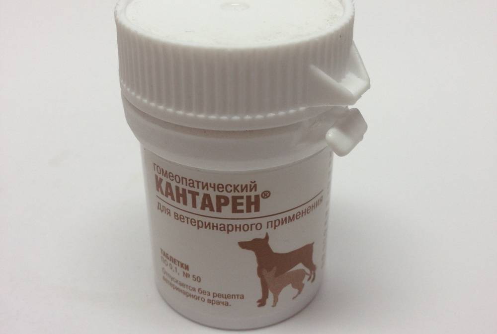 Гомеопатический препарат для кошек и собак хелвет кантарен (10 мл) - цена, купить онлайн в москве, интернет-магазин зоотоваров