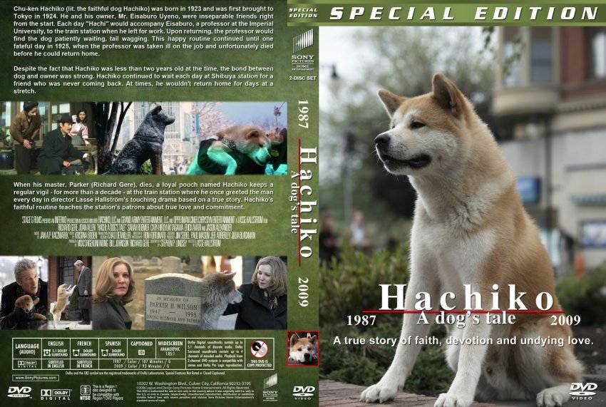 Хатико: порода собаки из фильма | фото, цена какая порода