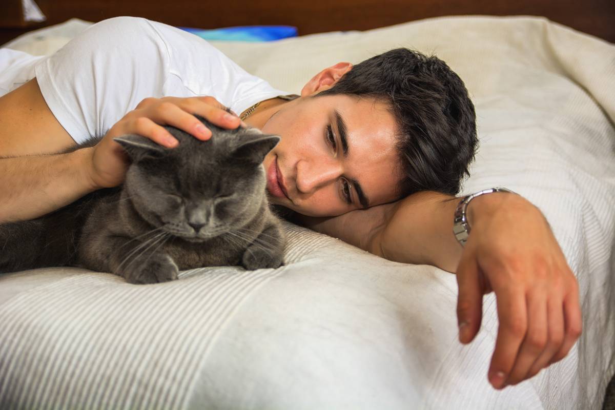 Почему кошке нельзя спать с хозяином: все за и против совместного сна с питомцем