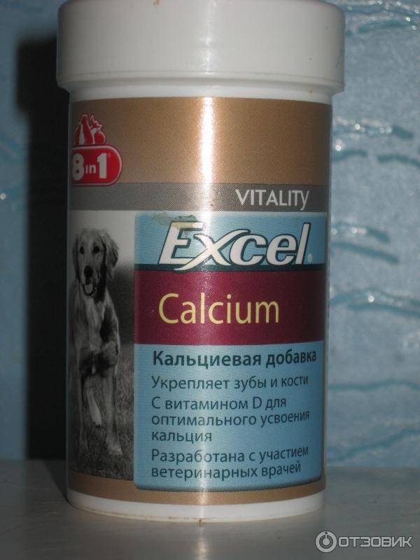Витамины с кальцием для собак крупных и мелких пород с описанием и показаниями