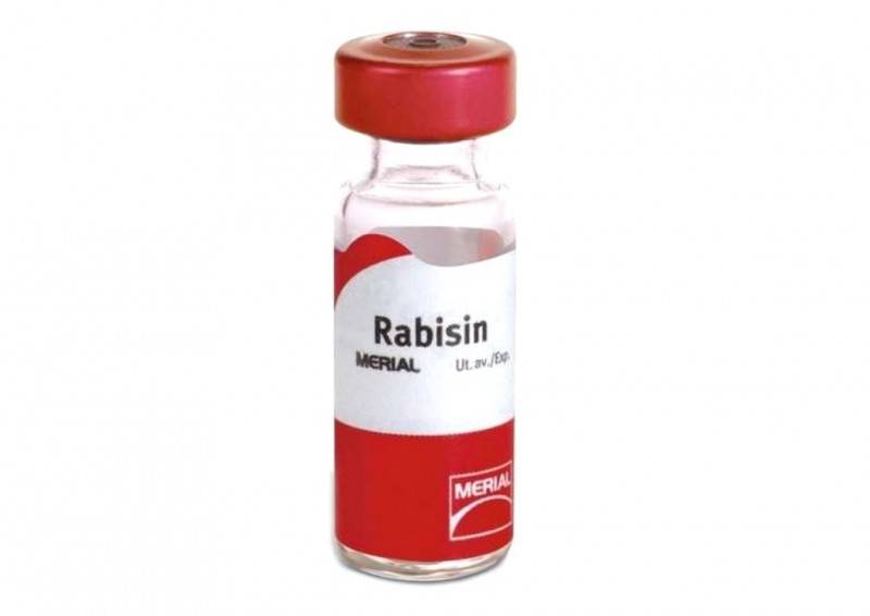 Рекомендации по использованию антирабической вакцины для кошек рабизин