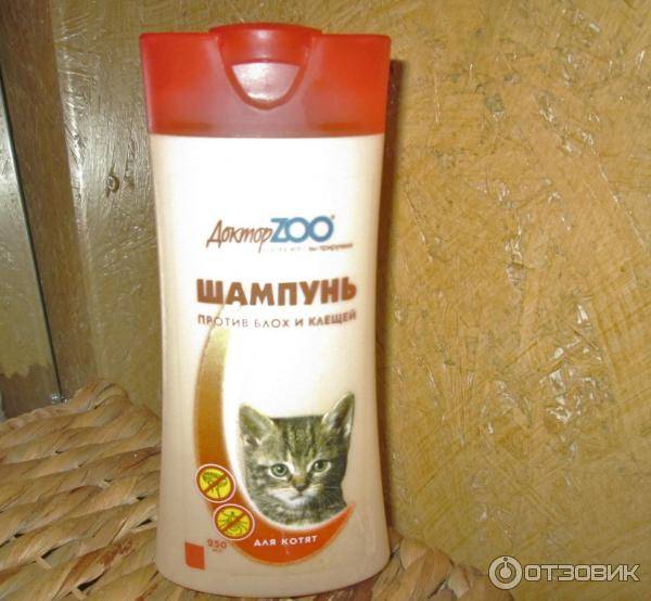 Шампунь от блох для кошек: обзор лучших и средние цены по россии русский фермер