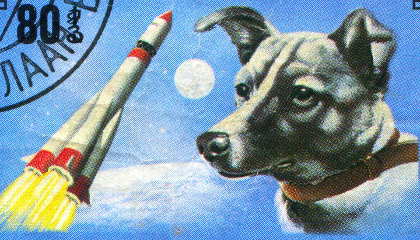 Первым в космосе была собака
