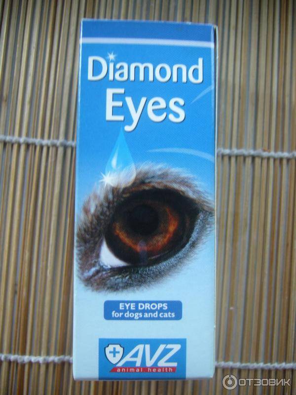 Глазные капли для кошек