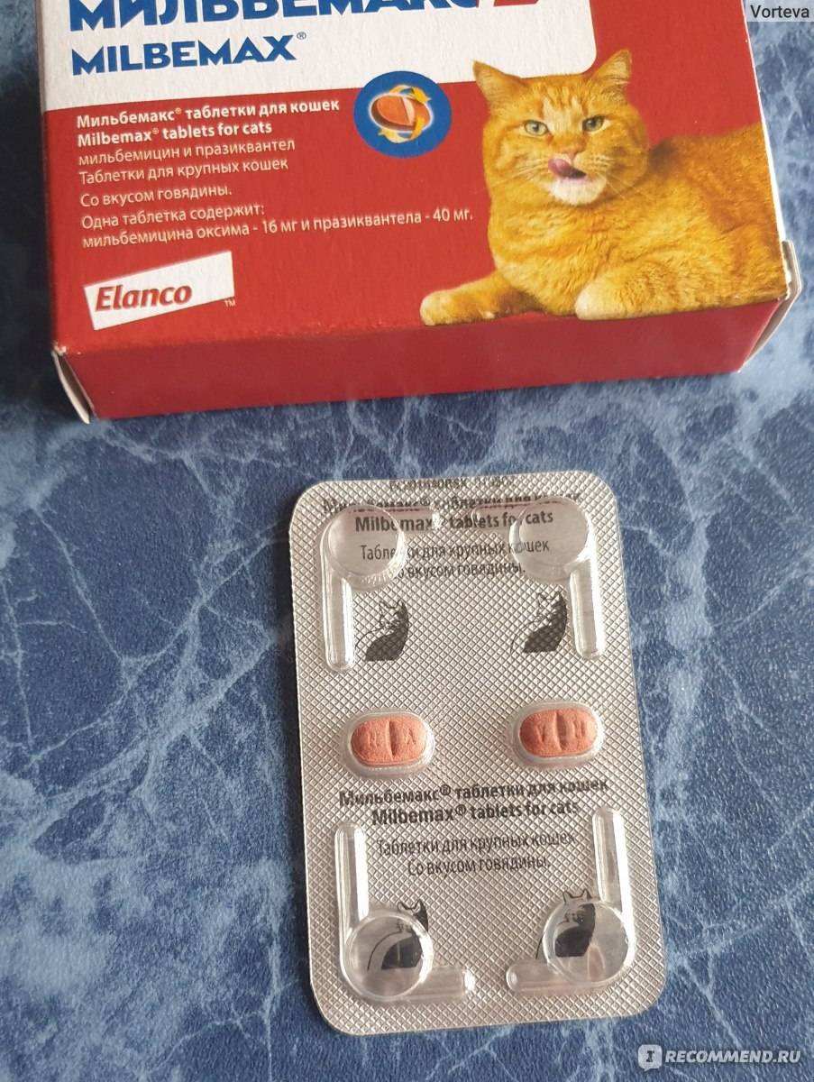 Мильбемакс для кошек, 2 таблетки купить, цена и отзывы в зоомагазине beewell