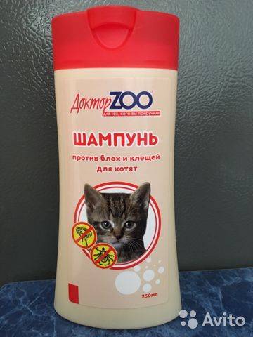Выбираем шампунь для британских кошек - oozoo.ru