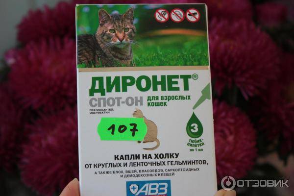 Диронет спот-он для кошек - купить, цена и аналоги, инструкция по применению, отзывы в интернет ветаптеке добропесик