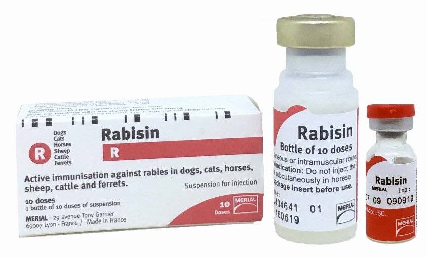 Инструкция по применению препарата рабизин для кошек и собак