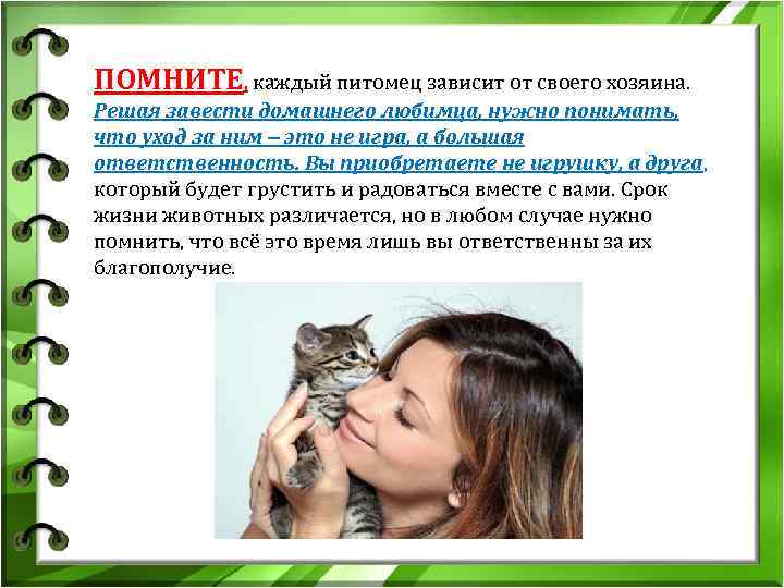 Как ухаживать за кошкой или котом в домашних условиях в квартире или частном доме? - kotiko.ru