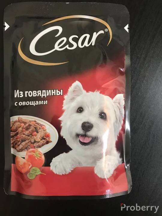 Характеристика корма cesar для собак, его разновидности и мнение экспертов