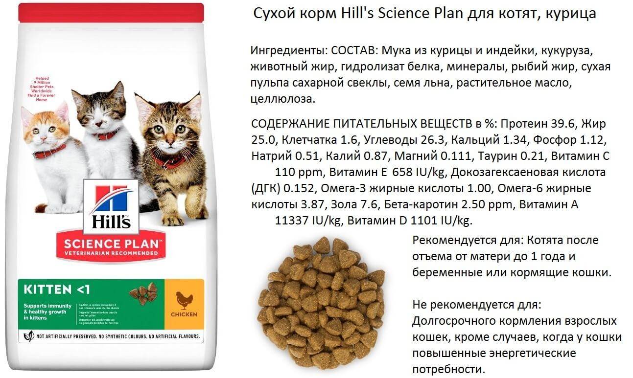 Корм для кошек: что должно быть в составе? | hill's pet