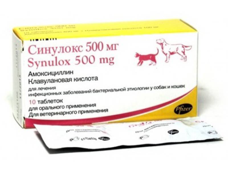 Фармазин 50, антибиотик широкого спектра действия