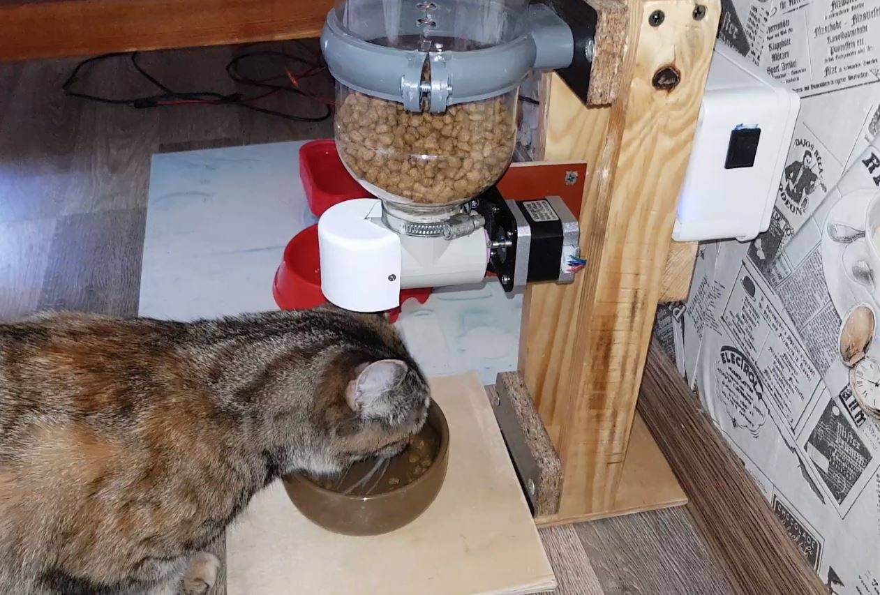 Как сделать автоматическую кормушку для кошки своими руками: пошаговая инструкция, фото, видео